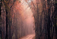 [澳网]袁悦／亚历山德罗娃止步女双32强.