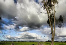 提前锁定男女单冠军！乒乓球亚洲杯决赛赛程来了人民日报客户端.