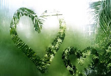 布朗尼无缘G联盟季后赛:场均22+5+5神似詹姆斯 曾单场轰39分.